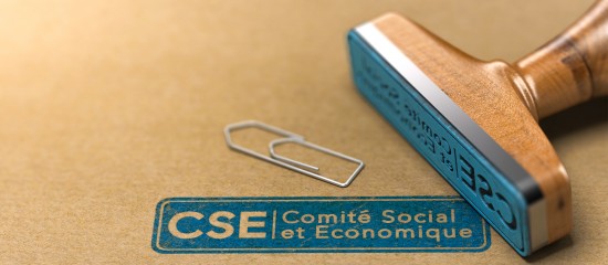 Du nouveau pour le comité social et économique