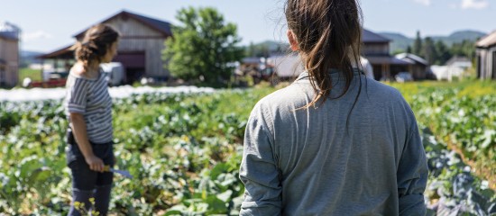 L’agriculture a besoin de bras