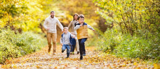 Quant aux jours fériés du mois de novembre…